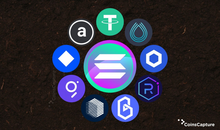 The Solana Ecosystem
