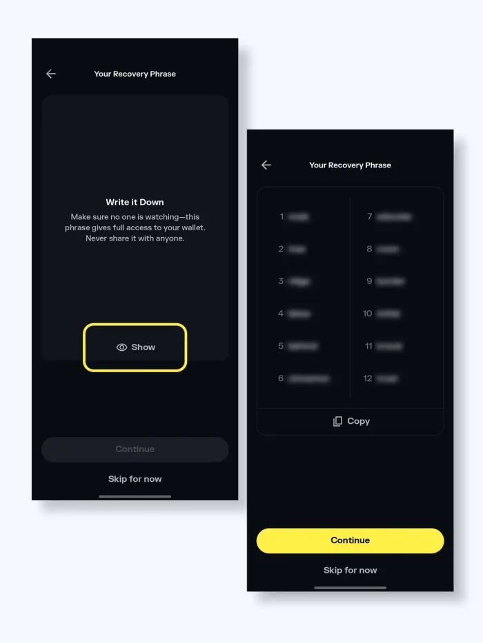 How to Set Up Solflare Wallet for First-Time Solana Users