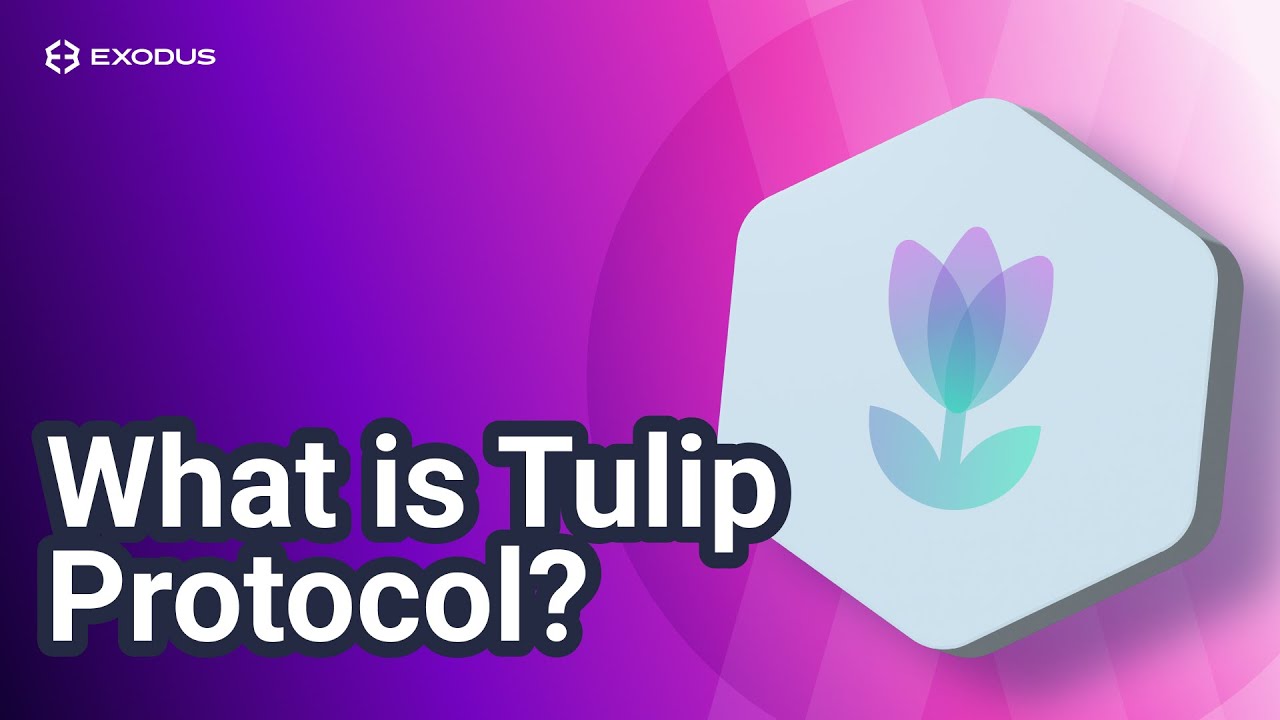 Tulip Protocol yield aggregator